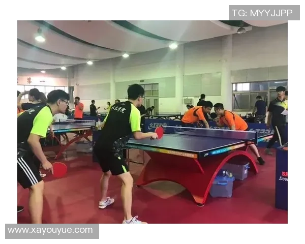 南京乒乓球队意识探讨与发展方向的深度分析与思考 南京乒乓球队意识探讨与发展方向的深度分析与思考