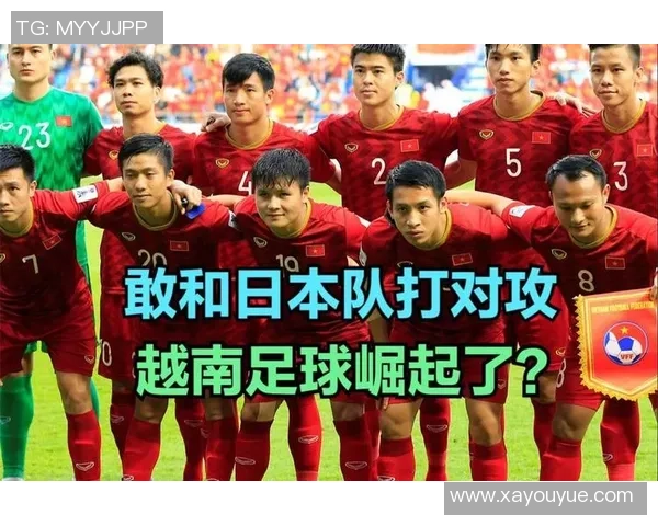 广州排球队与南京排球队对决分析力量对比与战术探讨