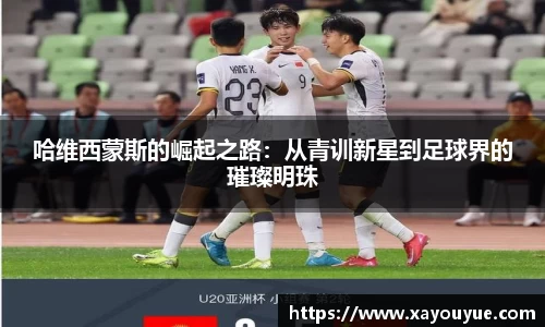 星空.综合体育(中国)官方网站